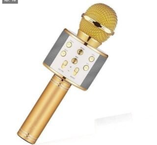 Microphone WirelessWS-858